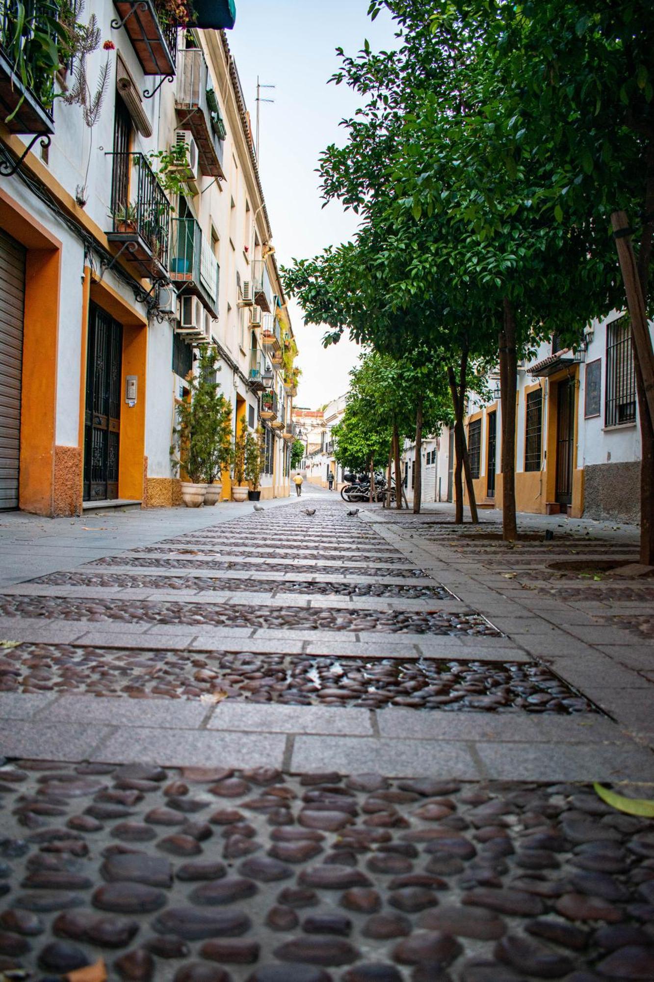 Alojamiento Entero, Centro De Cordoba Con Cochera Exterior foto